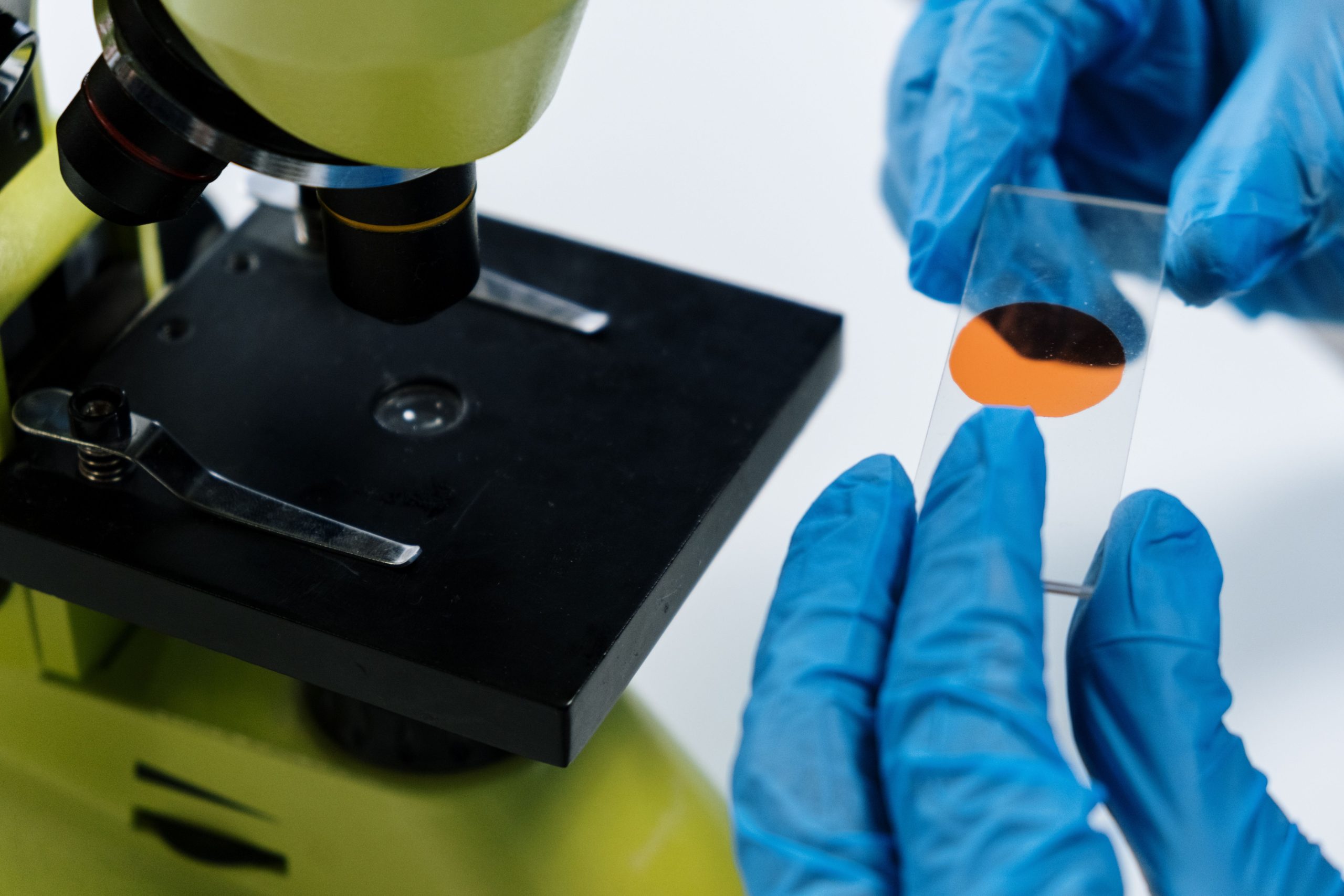 Scientifique préparant une lame de microscope
