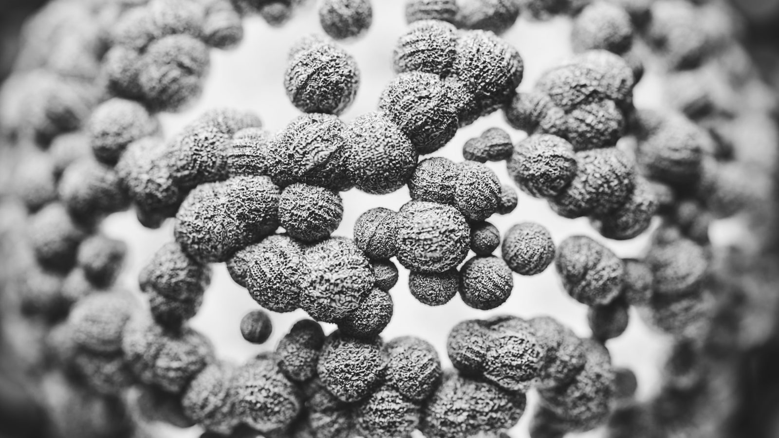 Gros plan macro sur des anticorps au microscope