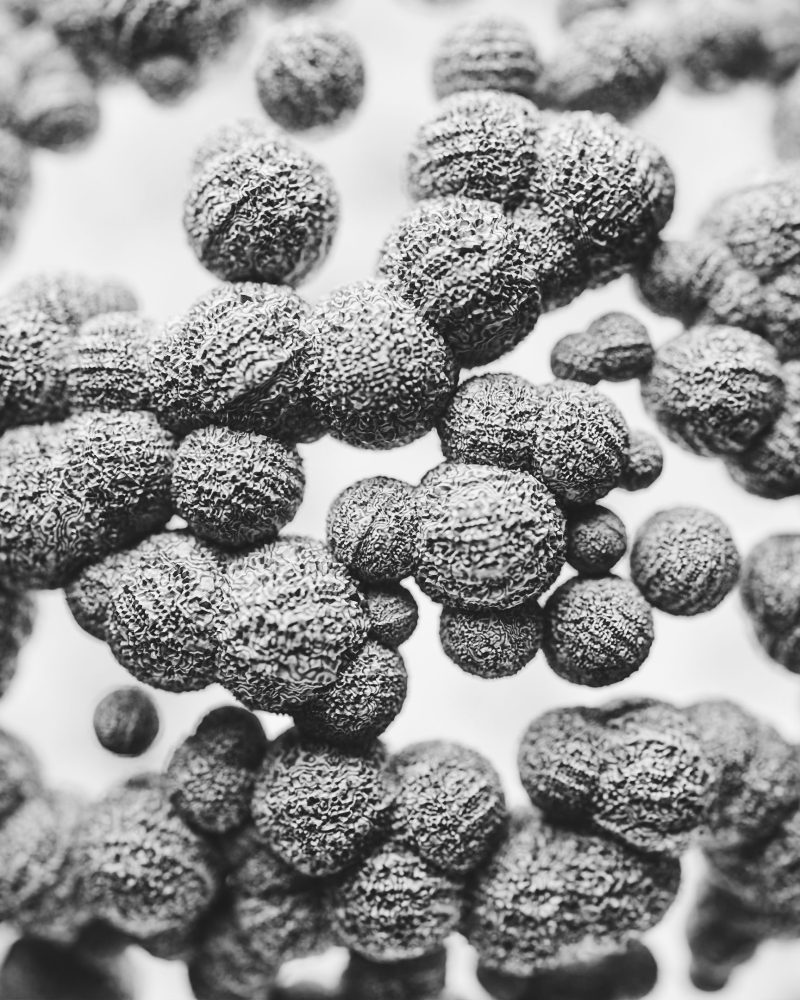 Gros plan macro sur des anticorps au microscope